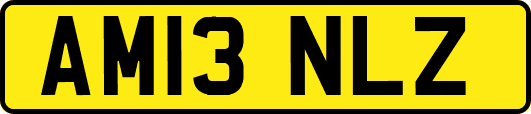 AM13NLZ