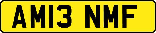 AM13NMF