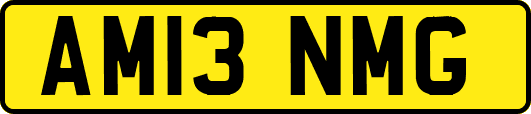 AM13NMG