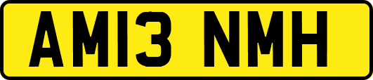 AM13NMH