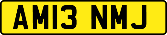 AM13NMJ
