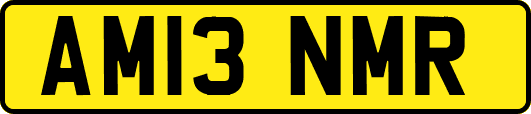 AM13NMR
