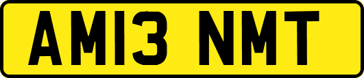 AM13NMT