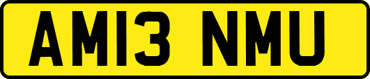AM13NMU