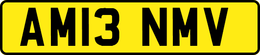 AM13NMV