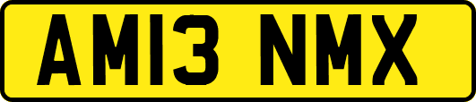 AM13NMX