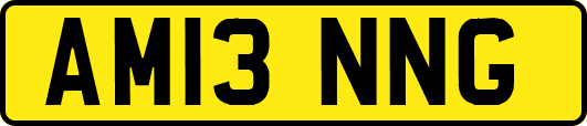 AM13NNG