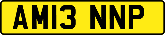 AM13NNP