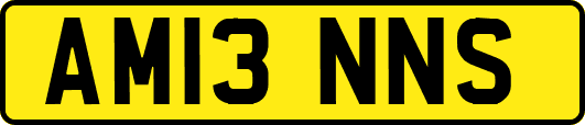 AM13NNS