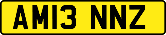 AM13NNZ