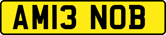AM13NOB