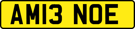 AM13NOE