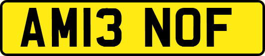 AM13NOF