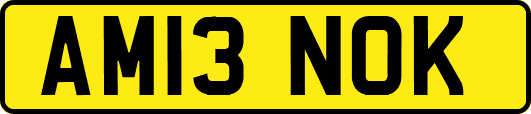 AM13NOK