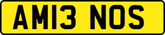AM13NOS