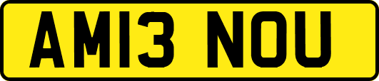 AM13NOU