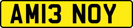 AM13NOY