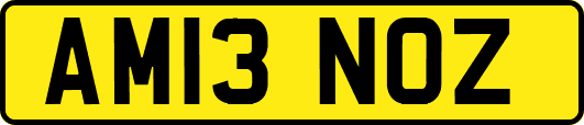 AM13NOZ