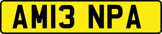 AM13NPA