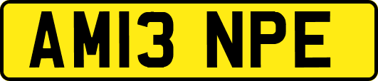 AM13NPE