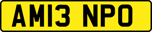 AM13NPO