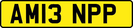 AM13NPP