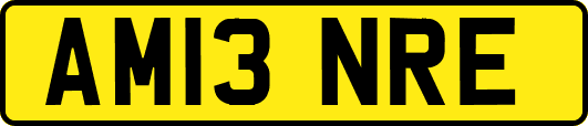 AM13NRE