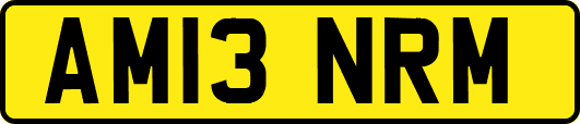 AM13NRM