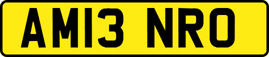 AM13NRO