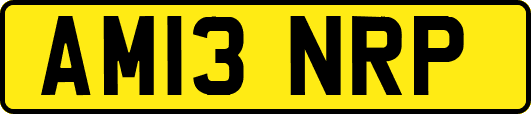 AM13NRP