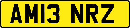 AM13NRZ