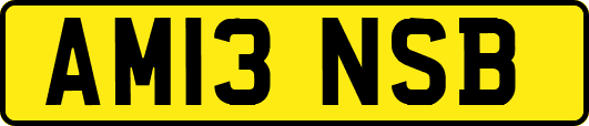 AM13NSB