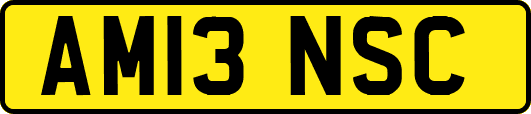 AM13NSC