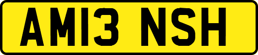 AM13NSH