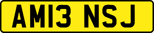 AM13NSJ