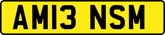 AM13NSM