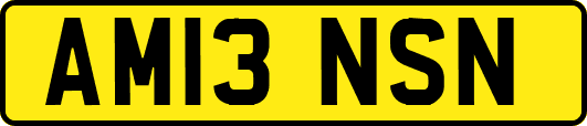 AM13NSN