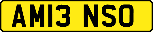 AM13NSO