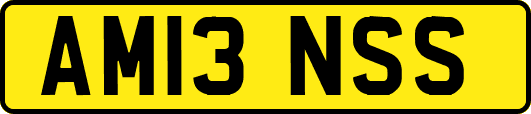 AM13NSS