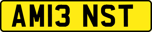 AM13NST