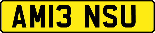 AM13NSU