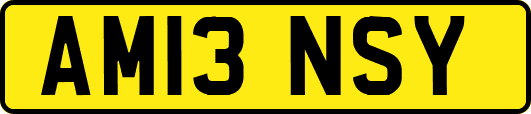 AM13NSY