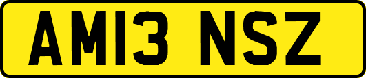 AM13NSZ