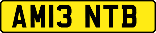 AM13NTB