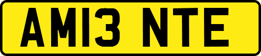 AM13NTE