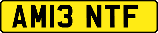 AM13NTF