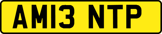 AM13NTP