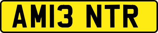 AM13NTR