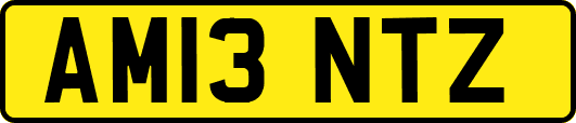 AM13NTZ