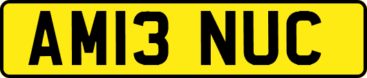 AM13NUC